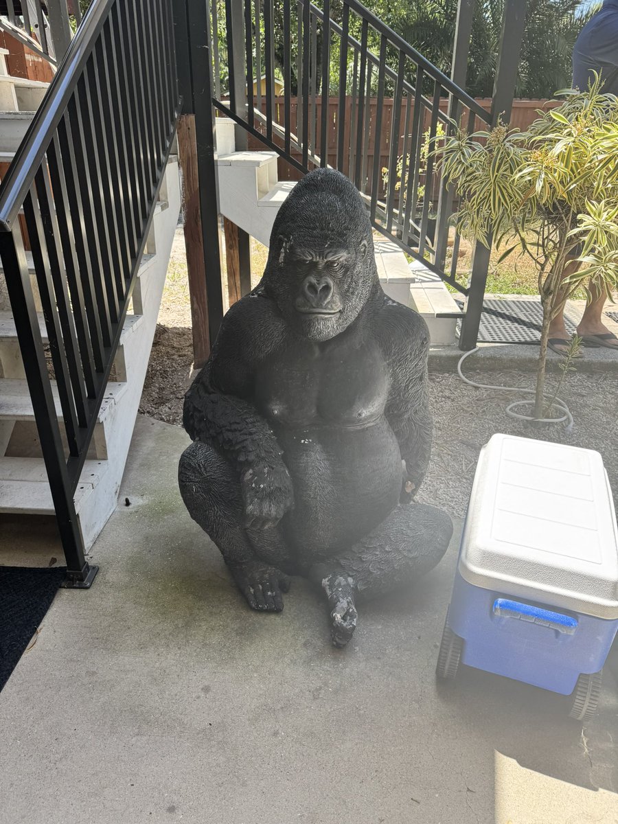 ItsJustTop's tweet image. Met my gf’s family for Easter and hello???