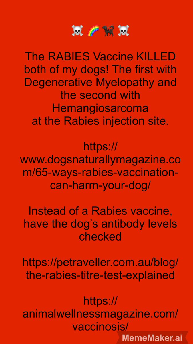 ELON BLOCKS VIEWS WITH ADS 😈 tweet media