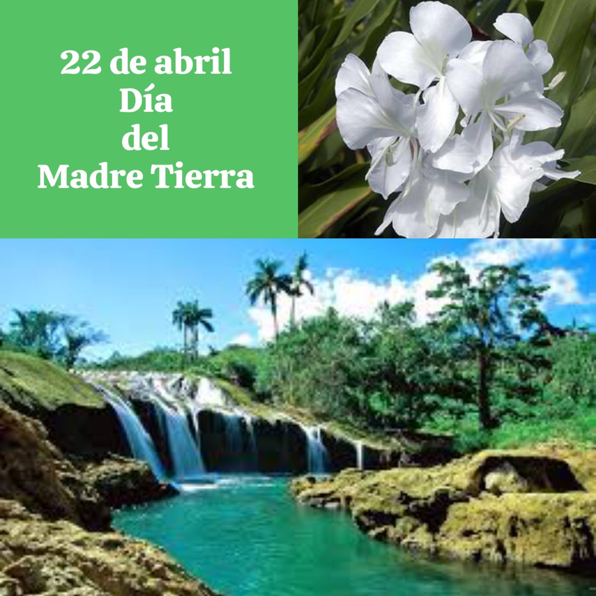 22 de abril-Día de la Madre Tierra, el hogar que nos provee de alimentos, agua, aire y recursos naturales esenciales para nuestra supervivencia, un llamado a promover la vida sostenible y la conservación del medio ambiente
<a href="/citmacuba/">Ministerio de Ciencia, Tecnología y Medio Ambiente</a> <a href="/ArmandoRguezB/">Armando</a>
#AmarCubaAmarLaNaturaleza