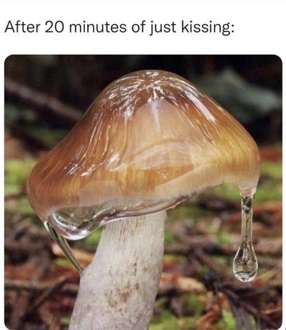 𝔻𝕣𝕖𝕒𝕞 𝕔𝕠𝕞𝕖 𝕥𝕣𝕦𝕖~ 💋 (@dream_come_lewd) on Twitter photo 