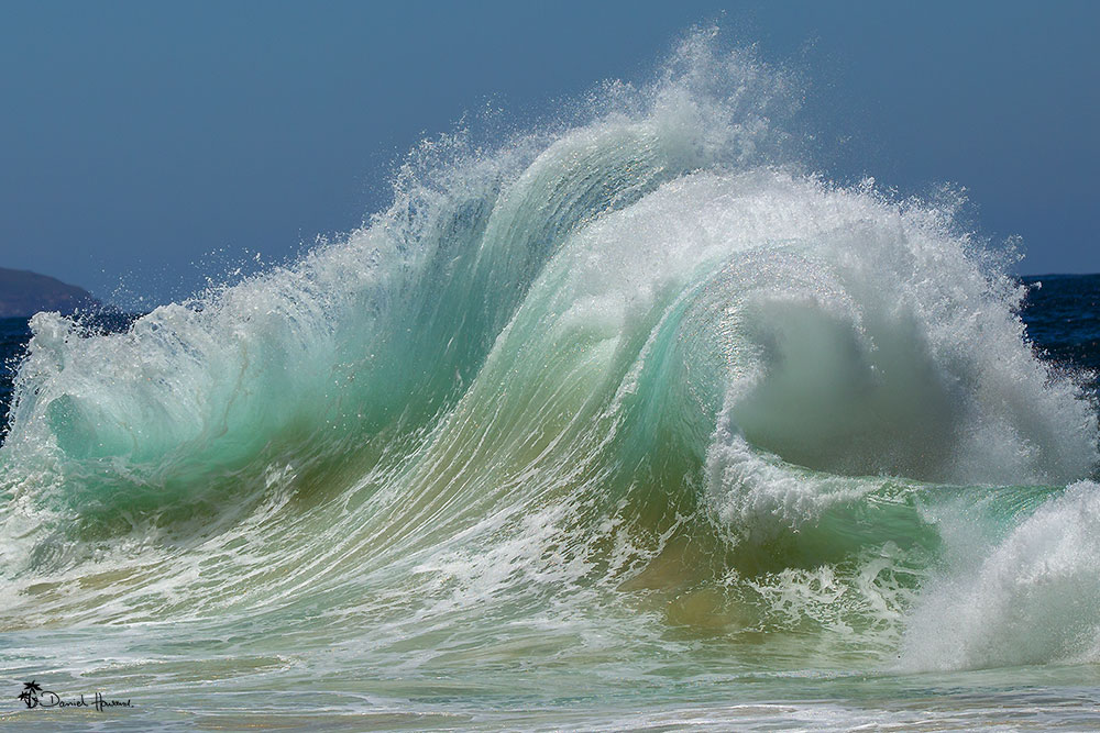OceanArtwork's tweet photo. I love Waves!!!
heading back to this place in the next few weeks https://t.co/biFrSMCeiR