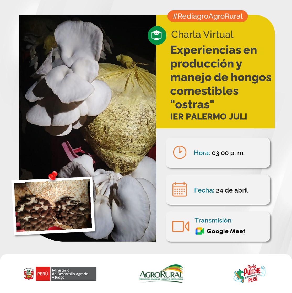 agroruralPER's tweet photo. #Rediagro | Charla virtual gratuita
📅 Jueves 24/04 – 3:00 p. m.
🍄Producción de hongos "ostras" – IER Palermo Juli
📝 Inscríbete: https://t.co/enG3bVz05q
💻 Accede: https://t.co/uZ4maYFwWq
¡Imperdible! https://t.co/aMTrU7ZTZo