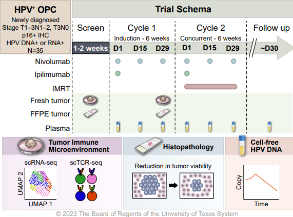 Elizabeth McKenna (@elizsmckenna) on Twitter photo Now online in <a href="/CD_AACR/">Cancer Discovery</a>: Depletion of Effector Regulatory T Cells Associates with Major Response to Induction Dual Immune Checkpoint Blockade - by Xianli Jiang, <a href="/kchenken/">Ken Chen</a>, Maura Gillison, and colleagues doi.org/10.1158/2159-8… <a href="/MDAndersonNews/">MD Anderson Cancer Center</a> Now online in <a href="/CD_AACR/">Cancer Discovery</a>: Depletion of Effector Regulatory T Cells Associates with Major Response to Induction Dual Immune Checkpoint Blockade - by Xianli Jiang, <a href="/kchenken/">Ken Chen</a>, Maura Gillison, and colleagues doi.org/10.1158/2159-8… <a href="/MDAndersonNews/">MD Anderson Cancer Center</a>
