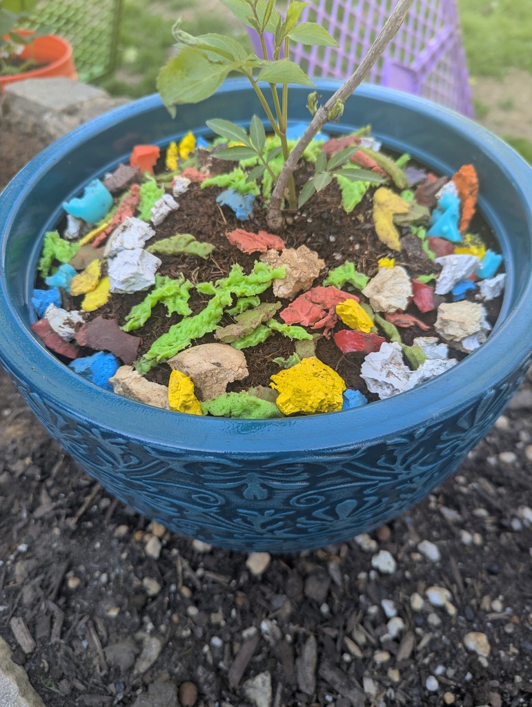 OscarWinning's tweet image. Happy Earth Day!

Our dogs help save the planet by recycling and reusing the little shreds of rubber toys and balls as a colorful mulch for our plants!

#OscarWinningBehavior #artists #creativeprocess  #savetheplanet #sustainability #reduce #recycle #environment #zerowaste