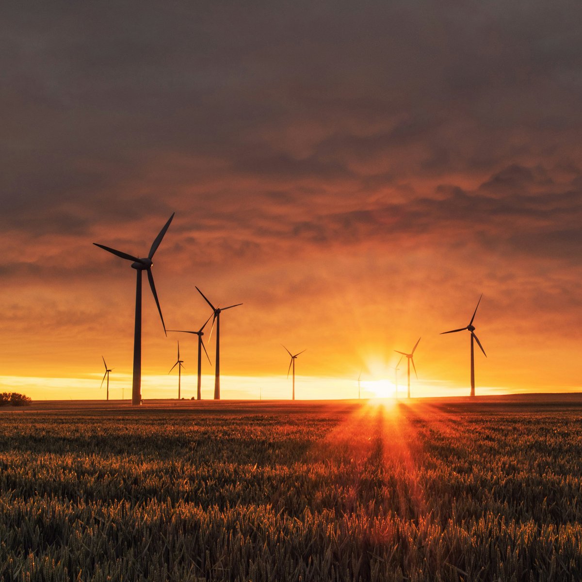 AGU (American Geophysical Union) (@theagu) on Twitter photo On #EarthDay2025, we celebrate #OurPowerOurPlanet .🌎
A new <a href="/EarthsFutureEiC/">Earth's Future</a> article discusses how #RenewableEnergy policies are critical in reducing carbon emissions, especially when paired with strong infrastructure, governance, and innovation.
🔗 doi.org/10.1029/2024EF… On #EarthDay2025, we celebrate #OurPowerOurPlanet .🌎
A new <a href="/EarthsFutureEiC/">Earth's Future</a> article discusses how #RenewableEnergy policies are critical in reducing carbon emissions, especially when paired with strong infrastructure, governance, and innovation.
🔗 doi.org/10.1029/2024EF…