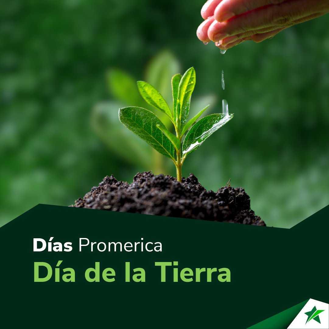 St. Georges Bank tweet media