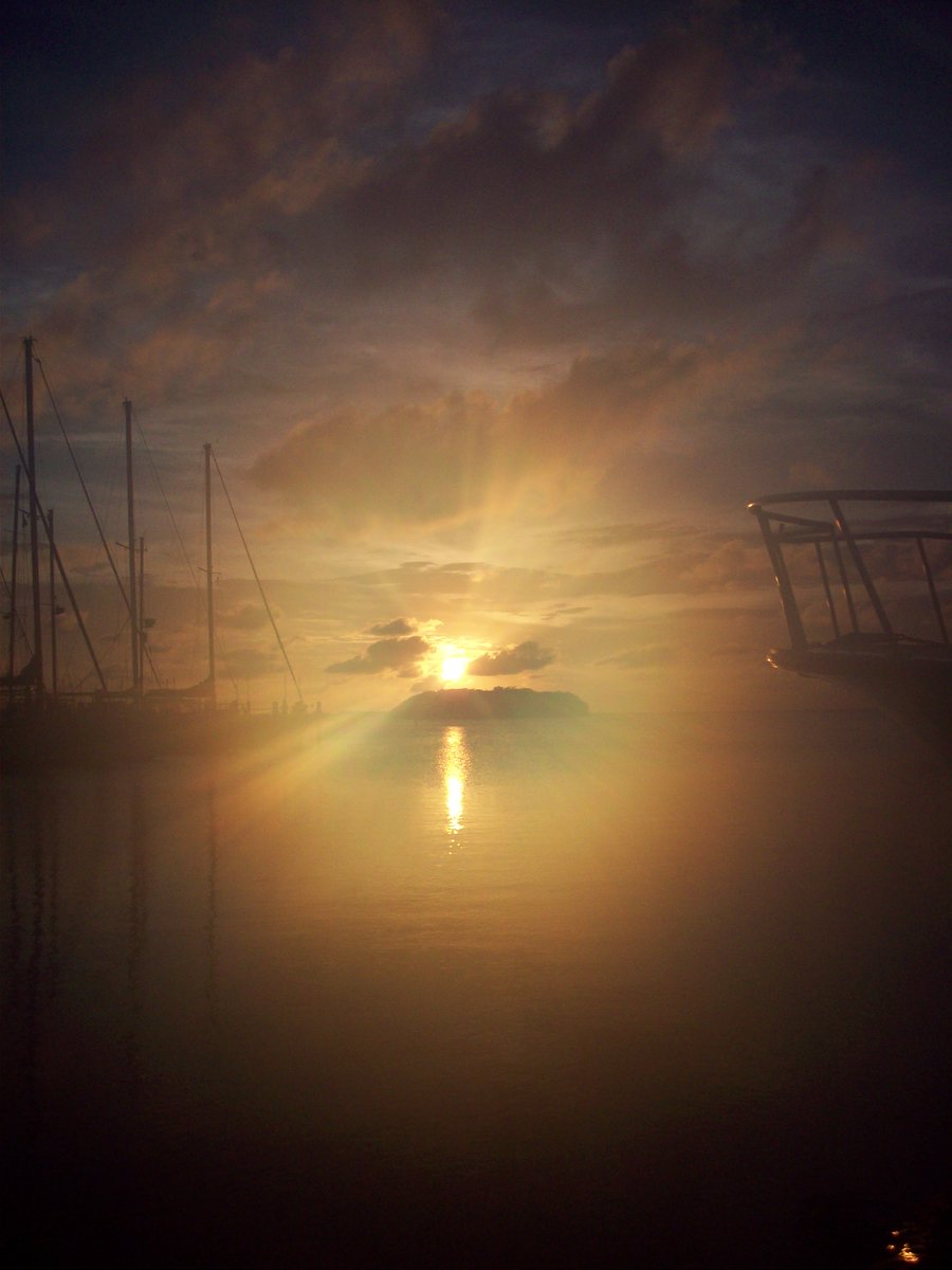 Sea Base High Adventure tweet media