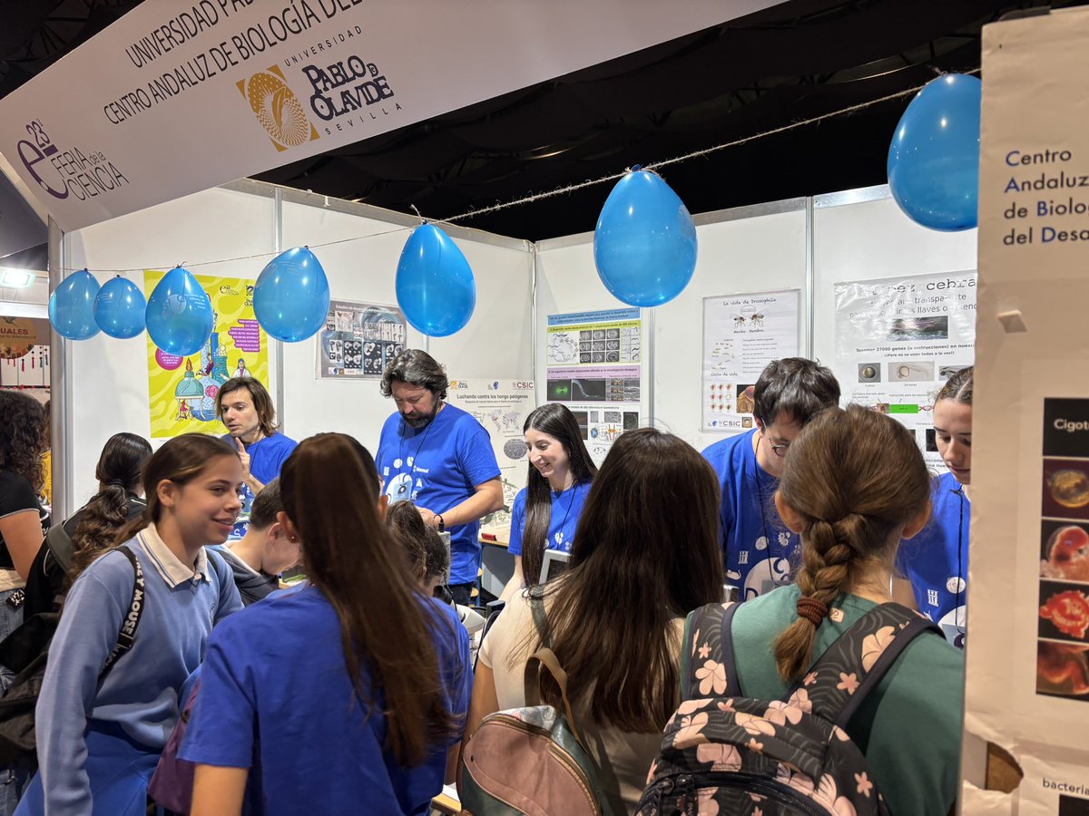 CABD_UPO_CSIC's tweet photo. La investigación del #CABD está presente en la #23FeriaCiencia que ha empezado hoy!
Gracias a la OTRI de la @pablodeolavide por el apoyo!
Y a #Biomol por las 🎽
Vente al stand 8️⃣3️⃣ a conocer lo que estudiamos en el #CABD
#cabdivulgacion https://t.co/9JFdt6tiYT