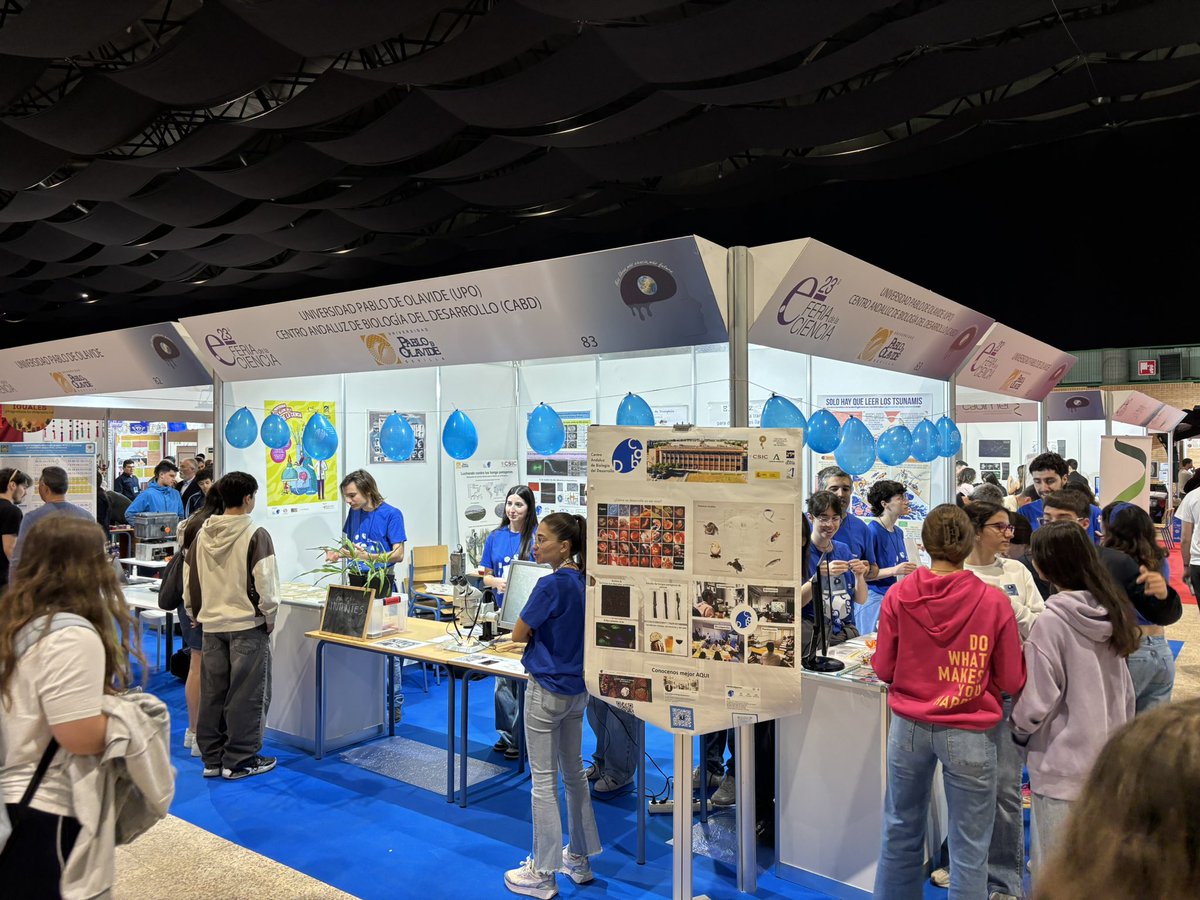 CABD_UPO_CSIC's tweet photo. La investigación del #CABD está presente en la #23FeriaCiencia que ha empezado hoy!
Gracias a la OTRI de la @pablodeolavide por el apoyo!
Y a #Biomol por las 🎽
Vente al stand 8️⃣3️⃣ a conocer lo que estudiamos en el #CABD
#cabdivulgacion https://t.co/9JFdt6tiYT