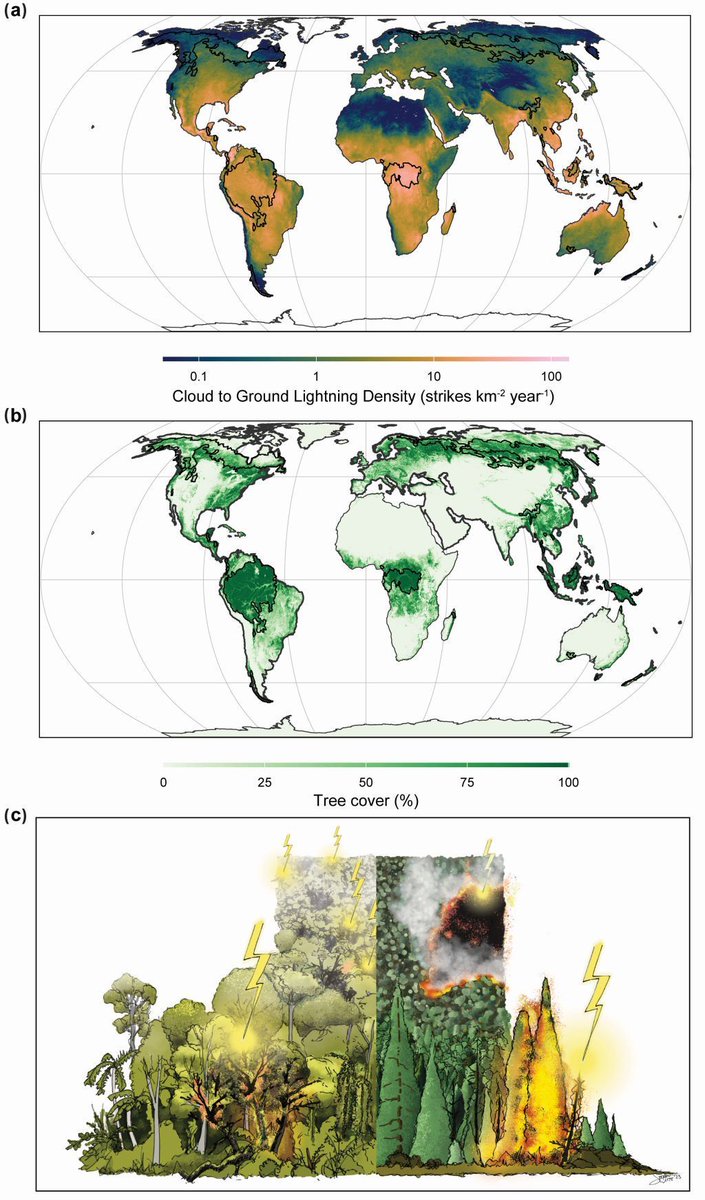 PERSPECTIVE
Lightning Impacts on Global Forest and Carbon Dynamics: Current Understanding and Knowledge Gaps 

📄 buff.ly/fGnoG6Y