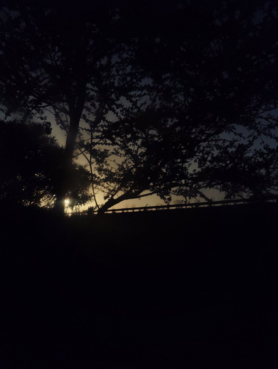 Prernakanani1's tweet image. રંગીલા રાજકોટના રંગો....!❤️
(ઘણા સમય પછી રાજકોટ વહાલસોયા વતનમાં )

#Rangilu_rajkot
#Rajkotian
#Big_bazar