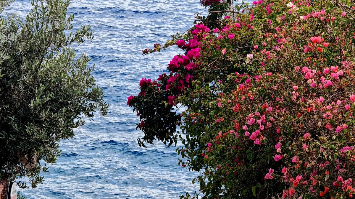 RHextraordinary's tweet photo. Nice day from beautiful Kas Antalya Turkey 💙💙💙 https://t.co/pSZsgR3cgT