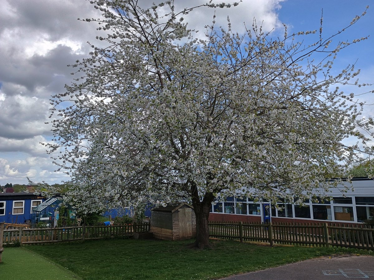 Manland Primary tweet media