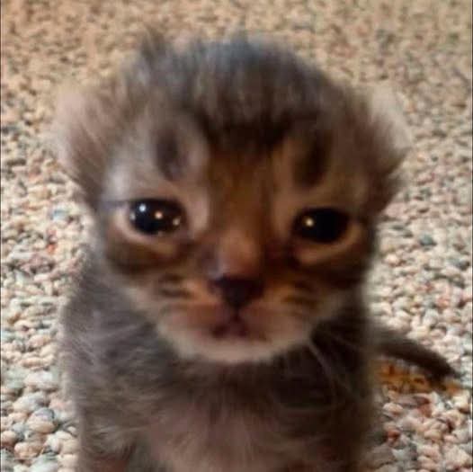 No puede ser es muy temprano para que me empiece a dar una crisis