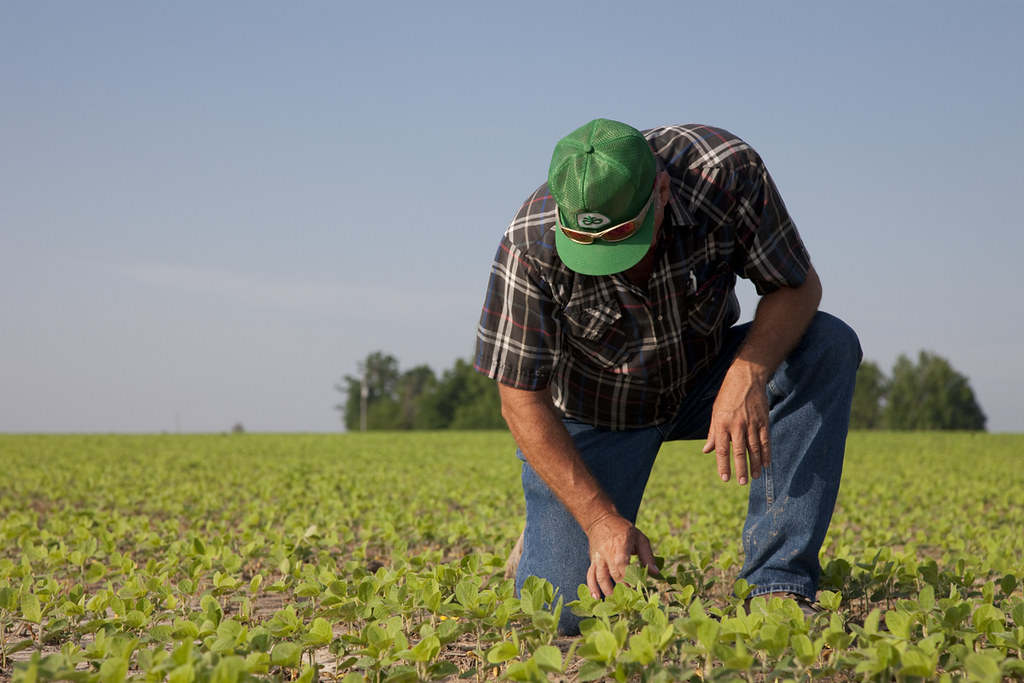 This #EarthDay, we’re celebrating the Ohio soybean farmers who care for the land every day. 🌱

 Their care for the land today helps feed tomorrow. As stewards of their farms and communities, their dedication makes a lasting impact.