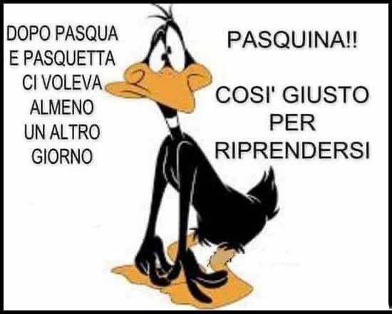 Che ne dite ?