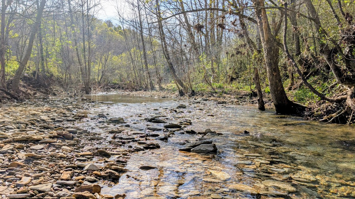 Park Playlist: Nature Sounds

Life on the Lincoln farm wasn’t silent—nature provided its own soundtrack. From creeks to birdsong, the world was never quiet. Step outside and listen—nature’s always speaking.
