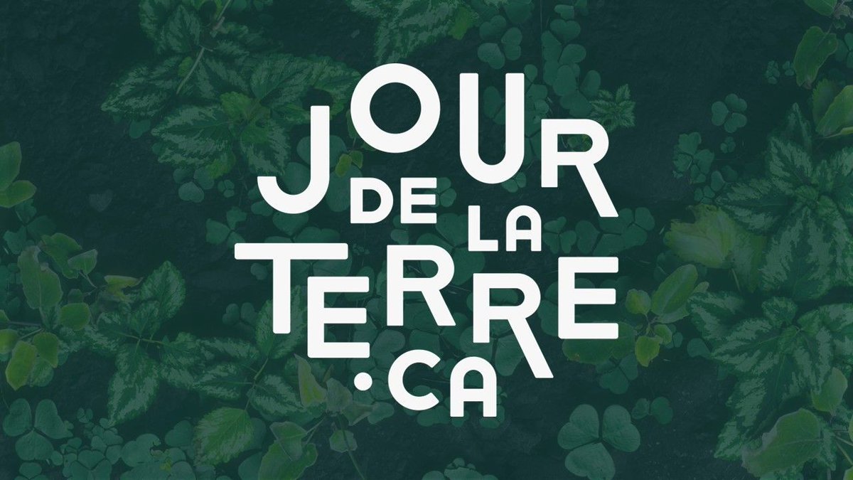 Lithion_Tech's tweet image. ♻️ Le gisement urbain n’a jamais eu aussi fière allure!

EN ce 22 avril #jourdelaterre, on recycle pour réduire. Notre procédé =
💨 72 % de GES en moins
💧 96 % d’eau en moins

C’est une question d’efficacité des ressources. 

#RecyclageVE