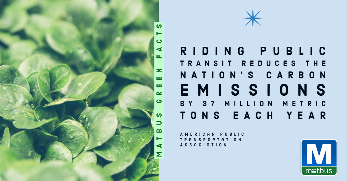 Riding public transit, instead of a personal vehicle, really cuts down on carbon emissions in our community! 🚍