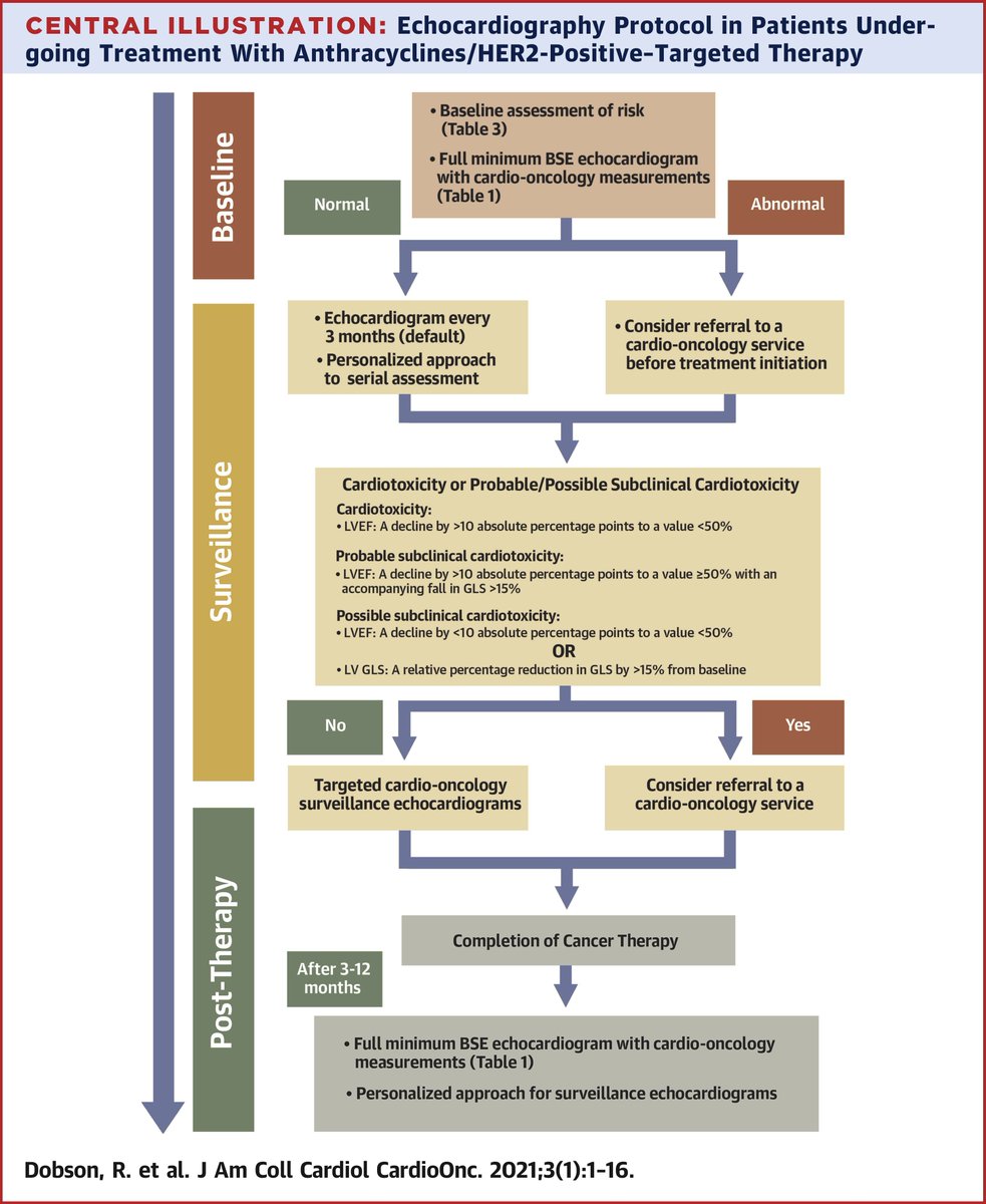 CardioTeca tweet media