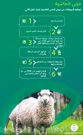 اللهم احفظ #الكويت واهلها
وثرواتها ؛ الطبيعية الحصرية
خاصة الحيوانية الاستهلاكية
بعد اكتشاف الحمى القلاعية
#واجب_ديني_وأخلاقي_وإنساني
على "مربي وملاك المواشي"
العناية الطبية في مواشيهم
والابتعاد بالماشية 🐏 🐪 🐄
من مواقع العدوى المعدية
احترازا من نقل الفيروسات
إلى مواقع أخرى 👇