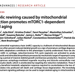 Photo by Demetriades Lab (@DemetriadesLab)