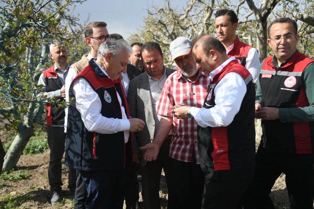 📍KAYSERİ/Yeşilhisar
Tarım Reformu Genel Müdürümüz Sayın Dr. Osman YILDIZ, İl Müdürümüz Sn Bülent SAKLAV, TARSİM Bölge Müd. Sn Alperen Numan TURAN'ın katılımlarıyla ilimizde etkili olan zirai don sonrası hasar gören meyve bahçelerini yerinde incelediler
<a href="/trgmresmi/">Tarım Reformu Genel Müdürlüğü</a>
<a href="/BulentSaklav/">Bülent SAKLAV</a>