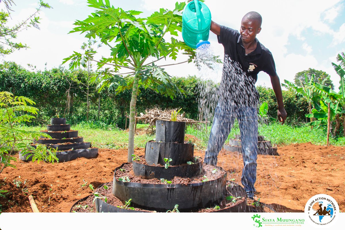 MuunganoCentre's tweet photo. In our phase two of setting up food forest @UmalaVTC, in partnership with @WeOneActionNet2 , we planted kales, spinach &amp; onions; aiming to strengthen school feeding program, student retention in school, promote community learning &amp; boost household nutrition. #SIMUNcares! https://t.co/eQ5GMRsKeY