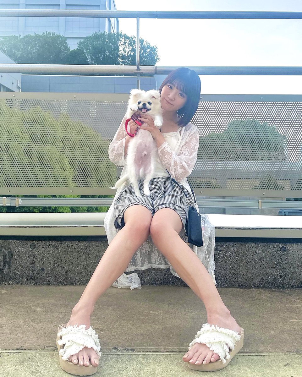 おやすみだわん🐶🩷