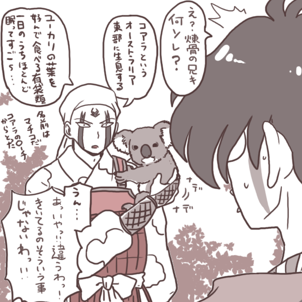 コアラから派生した「マチコ」① 