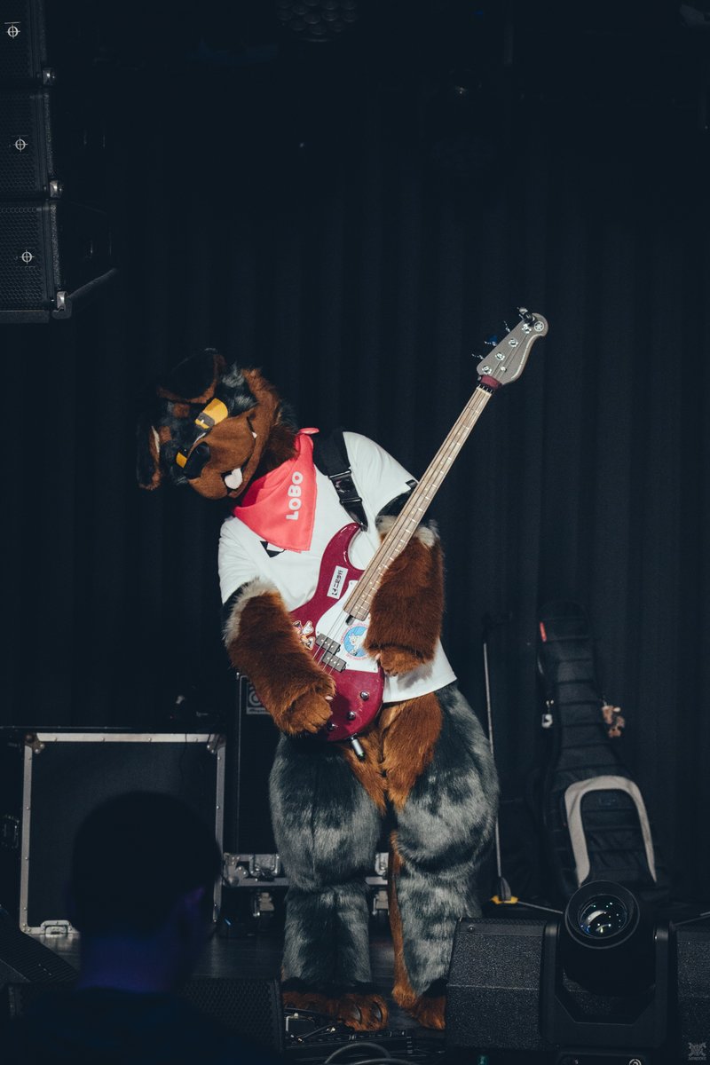 LOBO🐾 (@lobo_rottie) on Twitter photo Such a cool photos!✨
Thanks to the hardworking photographer❤️
#二足步行TwinTrails #一鹿向光
📷<a href="/VinTheCoyote/">VinTheCoyote</a> Such a cool photos!✨
Thanks to the hardworking photographer❤️
#二足步行TwinTrails #一鹿向光
📷<a href="/VinTheCoyote/">VinTheCoyote</a>