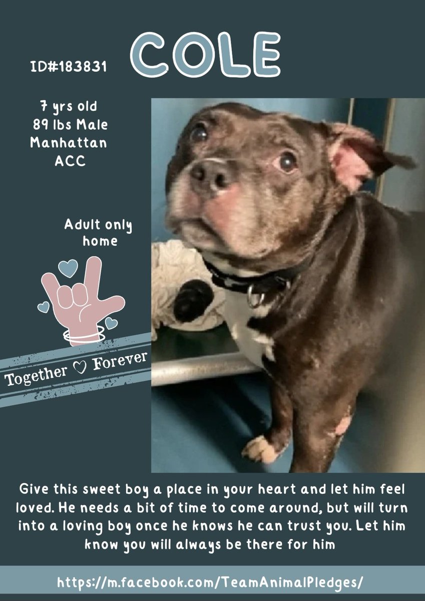 Julie🌻🐾 tweet media