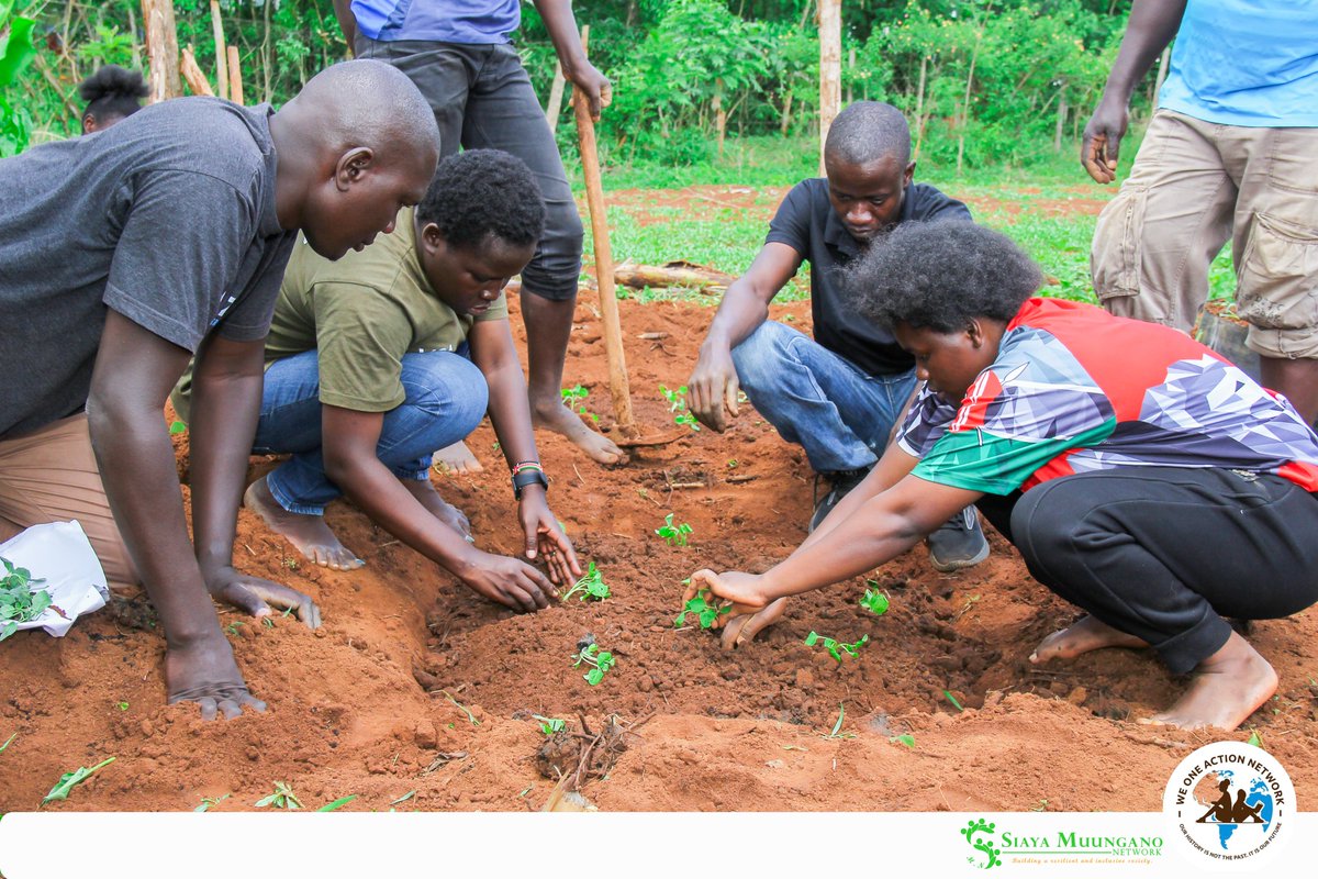 MuunganoCentre's tweet photo. In our phase two of setting up food forest @UmalaVTC, in partnership with @WeOneActionNet2 , we planted kales, spinach &amp; onions; aiming to strengthen school feeding program, student retention in school, promote community learning &amp; boost household nutrition. #SIMUNcares! https://t.co/eQ5GMRsKeY