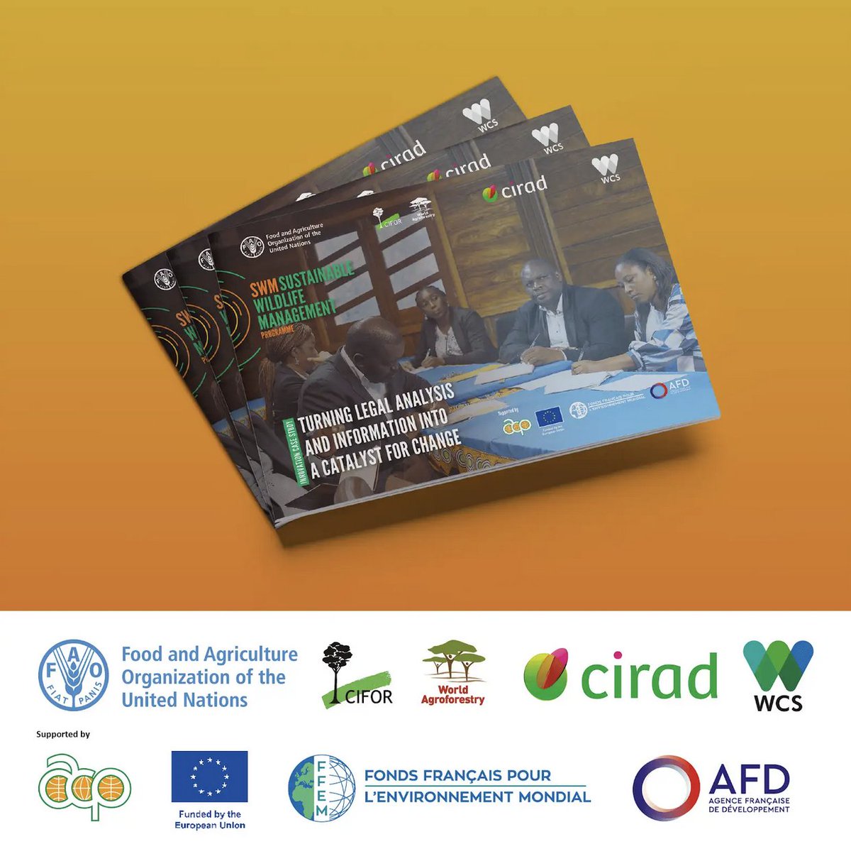 BKuemlangan's tweet photo. Discover how @FAO Legal Office is turning legal analysis into a catalyst for change through the #SWMProgrammeLegalHub-a free gateway to laws on wildlife & agri-food systems.
Read the case study: https://t.co/0HosG0qIJy
Explore the hub: https://t.co/QZY9z9EJKC
#LegalInnovation https://t.co/v4Jn4XGlrW