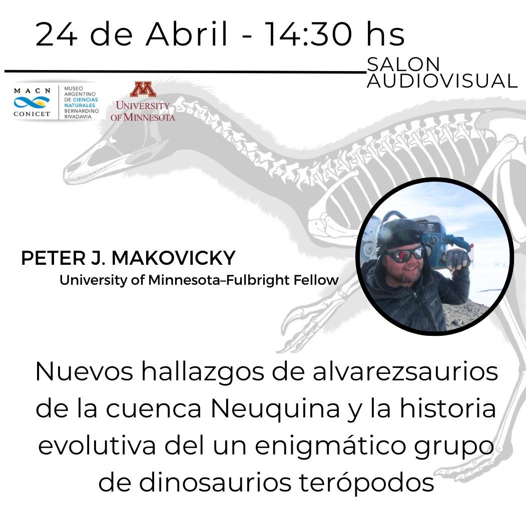 Charla abierta sobre alvarezsaurios y dinosaurios terópodos a cargo del Fulbright scholar Peter Makovicky en el Museo Argentino de Ciencias Naturales, A.Gallardo 470, CABA. Será el jueves 24/4, 14.30 h.