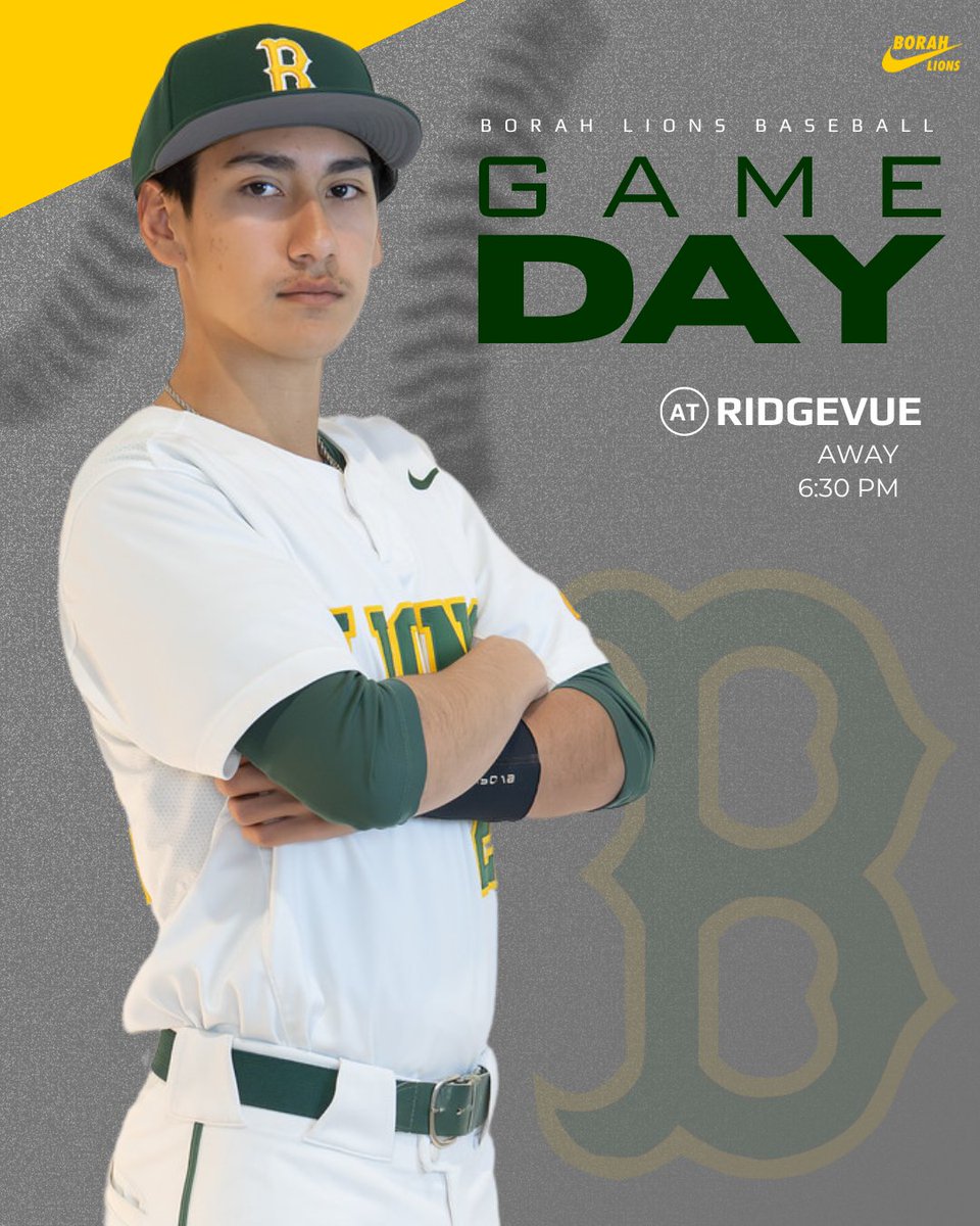 Borah Baseball tweet media