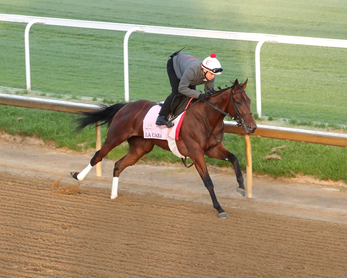 La Cara cruising down the lane, completing a half-mile in :46. 

“Going back to grade school when they gave out an A, B, C or D, I’d give her work an A+,” trainer Mark Casse said.

📸: Coady Media