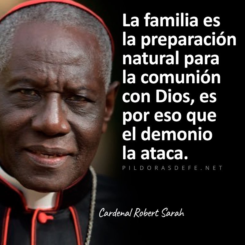 Robert Sarah, cardenal Africano en carrera para suceder al Papa Francisco