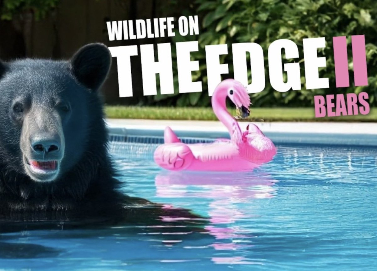 Wildlife on the Edge 2 is coming this Friday!

Narrated by actor Tim Daly, Wildlife on the Edge 2 invites viewers to watch the story of Bears living in the mountains surrounding Los Angeles.

COMING FRIDAY 25th APRIL to Ecoflix!

#wildlifeontheedge #poolbears