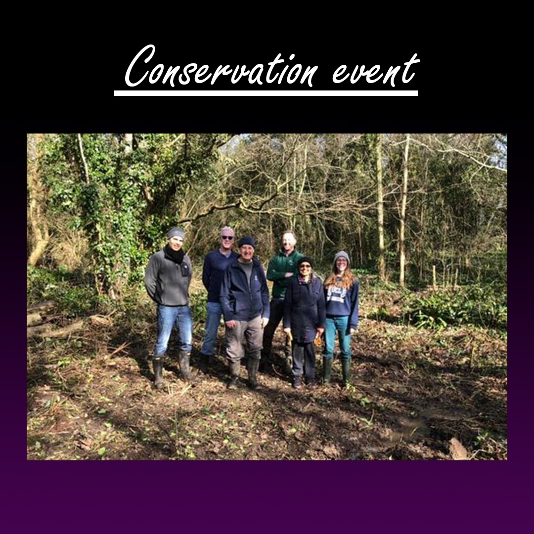 GroveFarmEaling's tweet image. 📅 26/4/2025
🕙 10:00 - 13:00
Join us in helping to improve Grove Farm! We’ll be cutting back brambles & creating dead hedging for wildlife. Hand tools provided—let's enjoy a day outdoors! 🙌🌞
Contact us via the link in bio!
#Conservation #naturelovers #friendsofgrovefarm