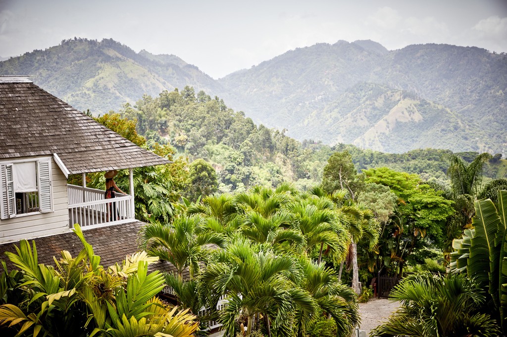 3,100 feet up in the Blue Mountains, we’re reminded every day of the earth’s quiet, enduring power. At Strawberry Hill, we celebrate nature through every view, every garden path, and every sunrise over the mountains. Happy Earth Day 🌎 

#StrawberryHill #EarthDay2025 #Jamaica