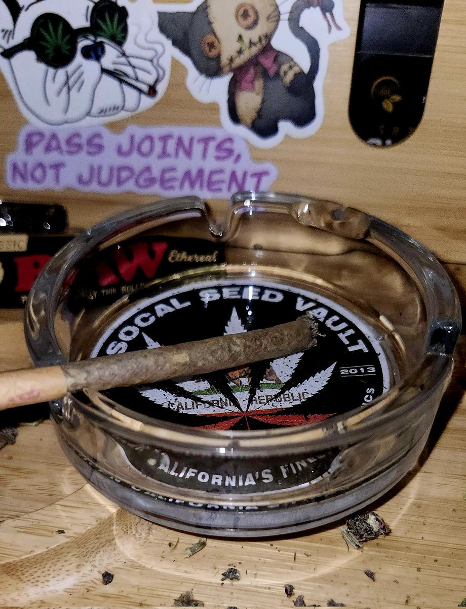 Elveedro (@elveedro) on Twitter photo Yezzz sirskee!! <a href="/SocalSeedVault/">Socal Seed Vault</a>
Time to baptize this tray
#pot_break #StonerFam #420community #cannaculture #weed #growyourown #420fam #Mmemberville Yezzz sirskee!! <a href="/SocalSeedVault/">Socal Seed Vault</a>
Time to baptize this tray
#pot_break #StonerFam #420community #cannaculture #weed #growyourown #420fam #Mmemberville