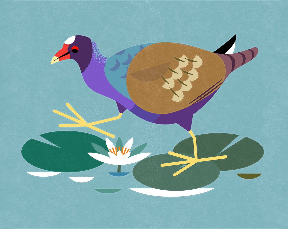 Alex Tomlinson 🦉 (@hootalex) on Twitter photo 