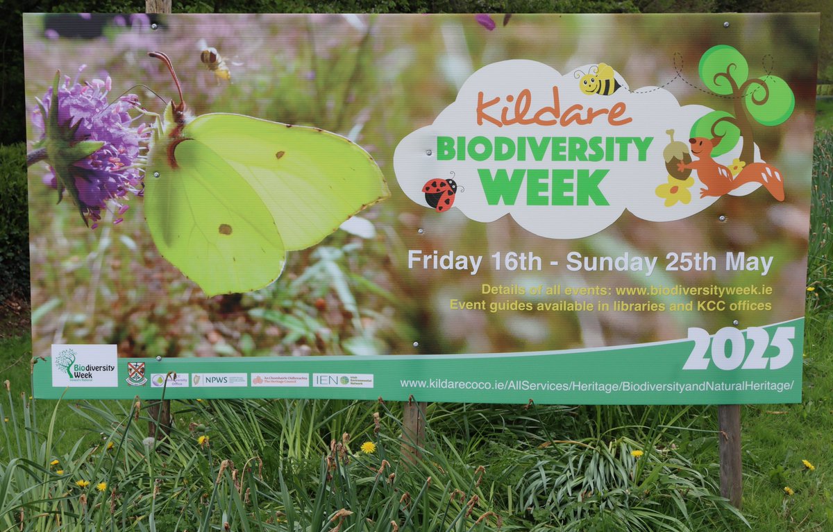 Newbridge Tidy Towns Association #DroicheadNua (@ttnewbridge) on Twitter photo It's #NationalBiodiversityWeek
When: 16th–25th May'25
Where: Countrywide
It's about connecting people with nature & encouraging them to explore & discover the fabulous flora & fauna in the local area
Check out the Events Calendar at:
biodiversityweek.ie/events-calenda…
<a href="/KildareHeritage/">Kildare Heritage</a> It's #NationalBiodiversityWeek
When: 16th–25th May'25
Where: Countrywide
It's about connecting people with nature & encouraging them to explore & discover the fabulous flora & fauna in the local area
Check out the Events Calendar at:
biodiversityweek.ie/events-calenda…
<a href="/KildareHeritage/">Kildare Heritage</a>