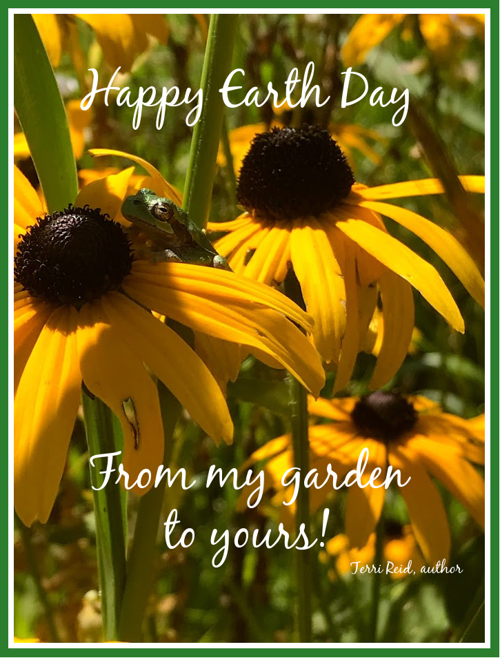 terrireid10's tweet photo. Happy Earth Day!  #EarthDay #gardenersworld #garden #AuthorsOfTwitter #author #frog #joy #spring #procrastination #youshouldbewriting https://t.co/a9jHAmgEMB