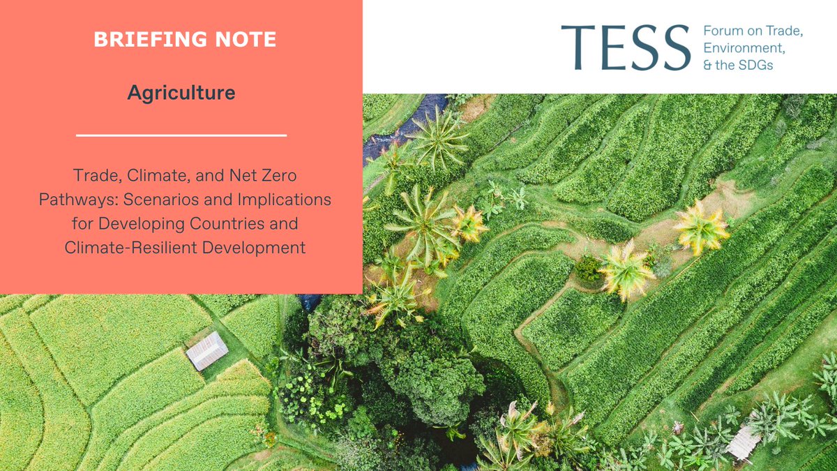Forum on Trade, Environment & the SDGs (@tessforum) on Twitter photo 🌍New Insights on Agriculture, Trade, and Climate Resilience🌱
<a href="/TESSForum/">Forum on Trade, Environment & the SDGs</a> is pleased to share this briefing note on agriculture, trade and climate resilience by Christophe Bellmann, our Head of Policy Analysis and Strategy.
This latest addition to our publication series on 🌍New Insights on Agriculture, Trade, and Climate Resilience🌱
<a href="/TESSForum/">Forum on Trade, Environment & the SDGs</a> is pleased to share this briefing note on agriculture, trade and climate resilience by Christophe Bellmann, our Head of Policy Analysis and Strategy.
This latest addition to our publication series on