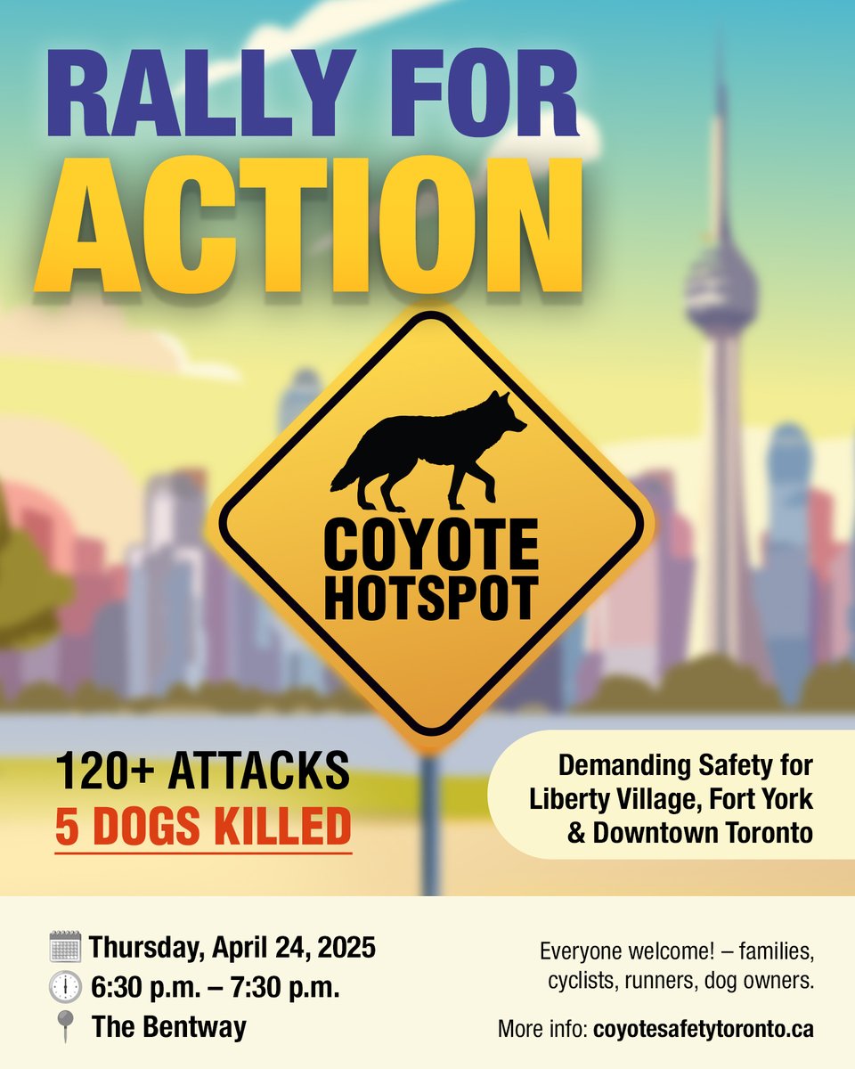 🚨Mark your calendar! Rally for Action: Thurs April 24 — 6:30PM 
📍<a href="/thebentway/">The Bentway</a> (east end, just north of June Callwood Park). 
📣Bring your signs. Bring your voice. coyotesafetyrally.eventbrite.ca

<a href="/ausmalik/">ausma malik</a> <a href="/MayorOliviaChow/">Mayor Olivia Chow 🇨🇦</a> <a href="/CarletonGrant/">Carleton Grant</a> <a href="/TPSMyronDemkiw/">Chief Myron Demkiw</a> <a href="/cityoftoronto/">City of Toronto 🇨🇦</a>