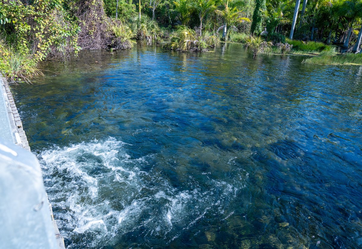 South Florida Water Management District (@sfwmd) on Twitter photo š Itās Earth Day! Did you know <a href="/SFWMD/">South Florida Water Management District</a> works year-round to advance key restoration projects that safeguard our precious water resources now and for future generations?
Ensuring the health of our water resources benefits all of us.
Visit SFWMD.gov/News to learn more. š Itās Earth Day! Did you know <a href="/SFWMD/">South Florida Water Management District</a> works year-round to advance key restoration projects that safeguard our precious water resources now and for future generations?
Ensuring the health of our water resources benefits all of us.
Visit SFWMD.gov/News to learn more.