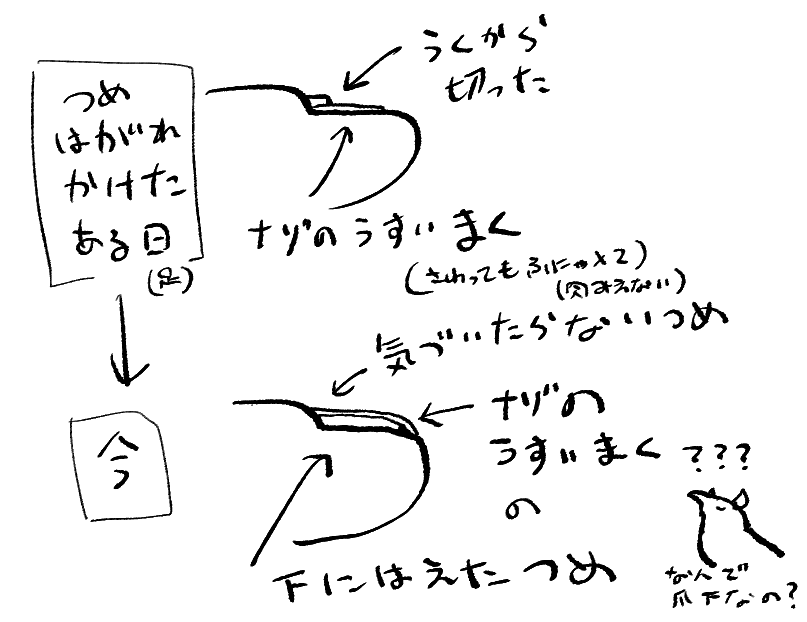 日記 