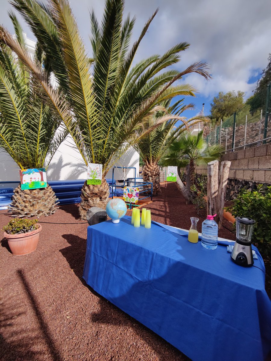 PriscilaGR tweet media